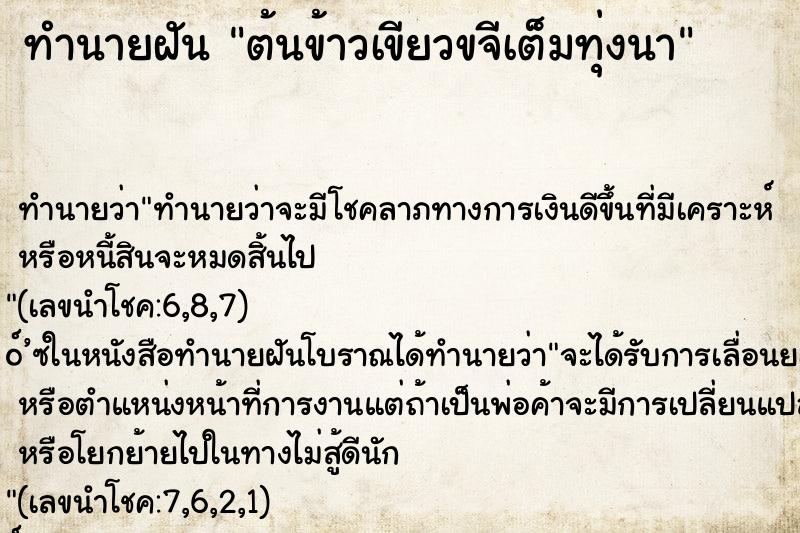 ทำนายฝัน ต้นข้าวเขียวขจีเต็มทุ่งนา ทำนายฝัน ต้นข้าวเขียวขจีเต็มทุ่งนา