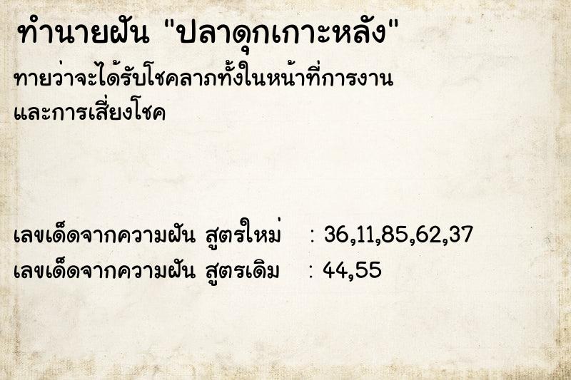ทำนายฝันปลาดุกเกาะหลัง ทำนายฝันทำนายฝันปลาดุกเกาะหลัง