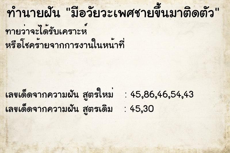 ทำนายฝันมีอวัยวะเพศชายขึ้้นมาติดตัว ทำนายฝันทำนายฝันมีอวัยวะเพศชายขึ้้นมาติดตัว