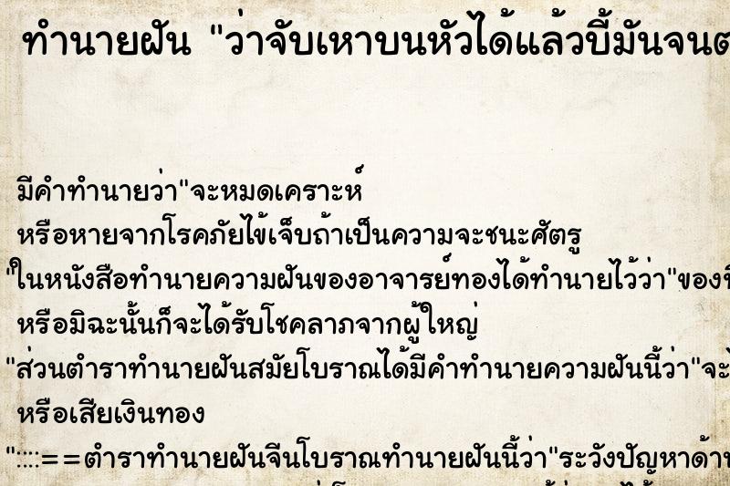 ทำนายฝัน ว่าจับเหาบนหัวได้แล้วบี้มันจนตาย ทำนายฝัน ว่าจับเหาบนหัวได้แล้วบี้มันจนตาย
