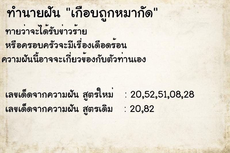 ทำนายฝันเกือบถูกหมากัด ทำนายฝันทำนายฝันเกือบถูกหมากัด