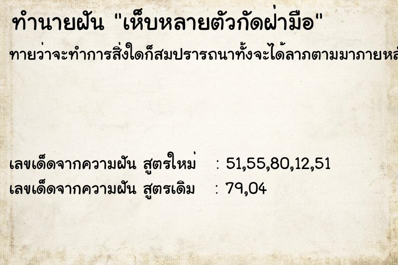 ทำนายฝันเห็บหลายตัวกัดฝ่ามือ ทำนายฝันทำนายฝันเห็บหลายตัวกัดฝ่ามือ