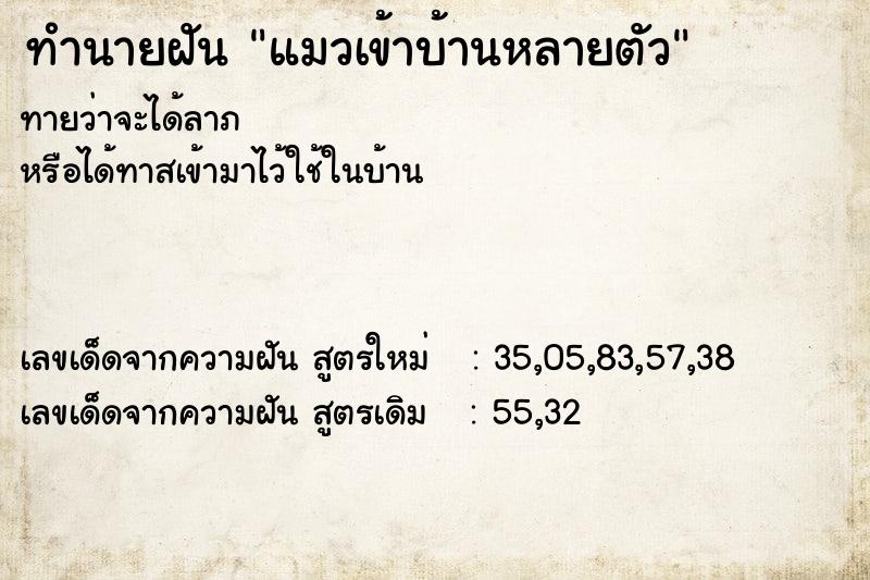 ทำนายฝันทำนายฝันแมวเข้าบ้านหลายตัว