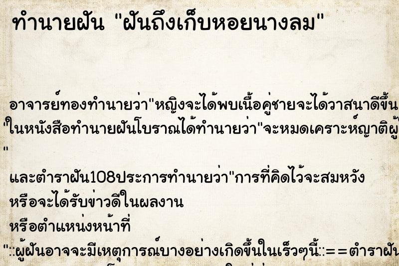 ทำนายฝันฝันถึงเก็บหอยนางลม ทำนายฝันทำนายฝันฝันถึงเก็บหอยนางลม