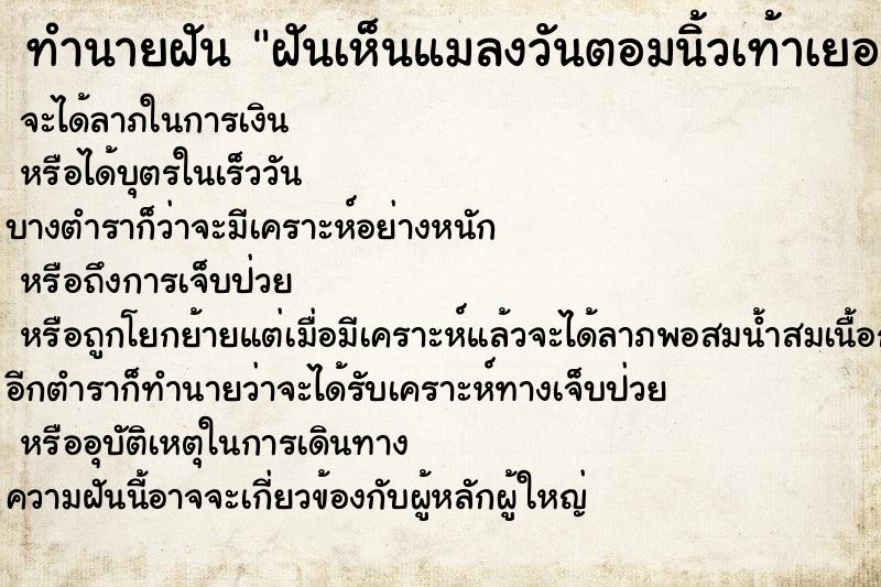 ทำนายฝัน ฝันเห็นแมลงวันตอมนิ้วเท้าเยอะมาก ทำนายฝัน ฝันเห็นแมลงวันตอมนิ้วเท้าเยอะมาก