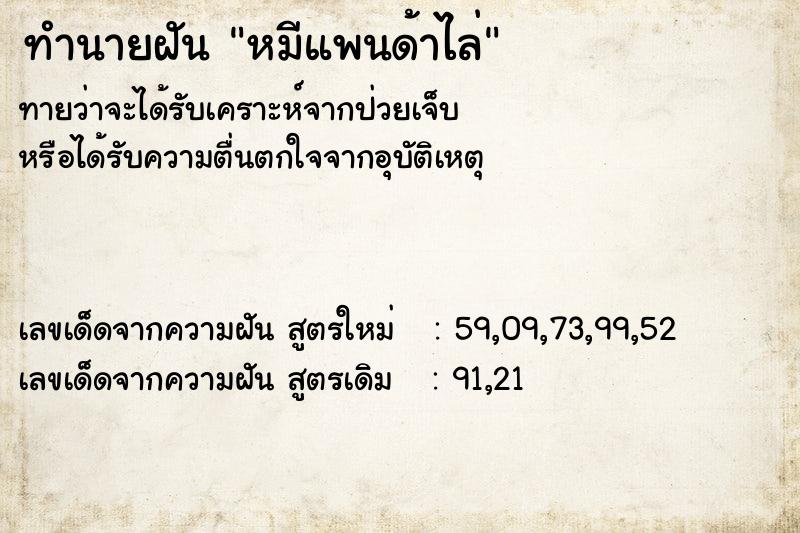 ทำนายฝัน หมีแพนด้าไล่