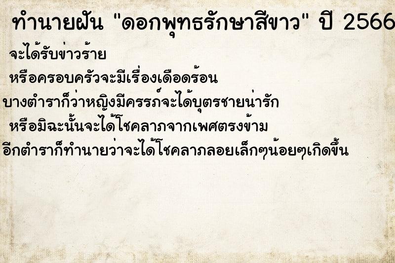 ทำนายฝัน ดอกพุทธรักษาสีขาว แม่นๆ ฟรี ด้วยตำราหนังสือทำนายฝันโบราณ ทำนายฝันดอกพุทธรักษาสีขาว