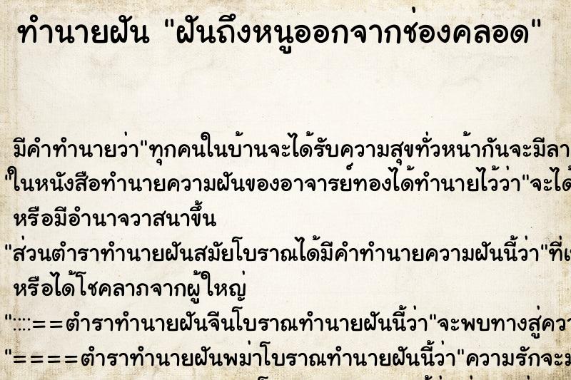 ทำนายฝันฝันถึงหนูออกจากช่องคลอด ทำนายฝันทำนายฝันฝันถึงหนูออกจากช่องคลอด