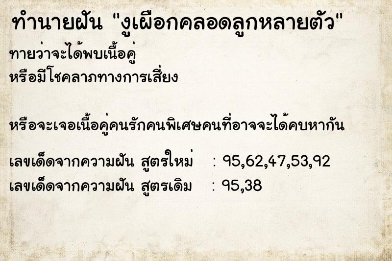 ทำนายฝันงูเผือกคลอดลูกหลายตัว ทำนายฝันทำนายฝันงูเผือกคลอดลูกหลายตัว