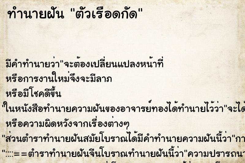 ทำนายฝัน ตัวเรือดกัด ตำราโบราณ แม่นที่สุดในโลก