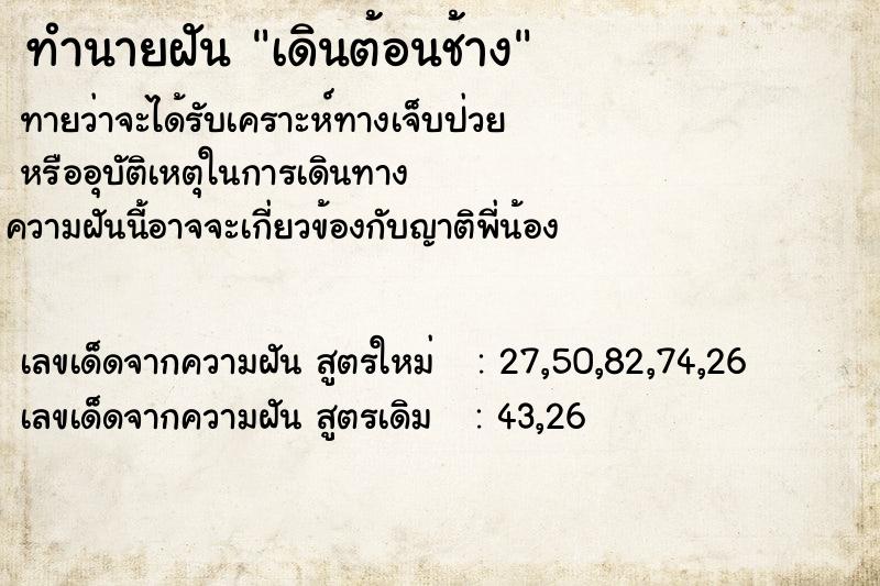 ทำนายฝัน เดินต้อนช้าง ทำนายฝัน เดินต้อนช้าง