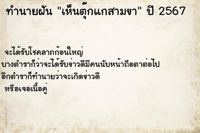 ทำนายฝันเห็นตุ๊กแกสามขา ทำนายฝันทำนายฝันเห็นตุ๊กแกสามขา