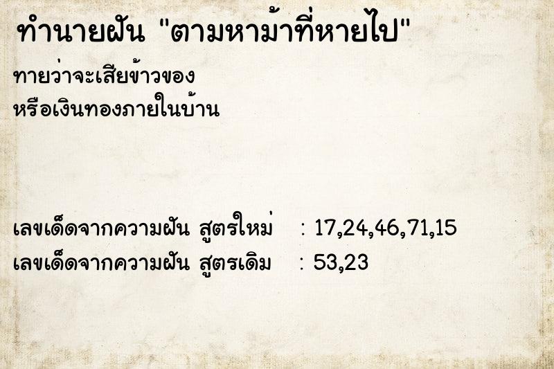 ทำนายฝัน ตามหาม้าที่หายไป