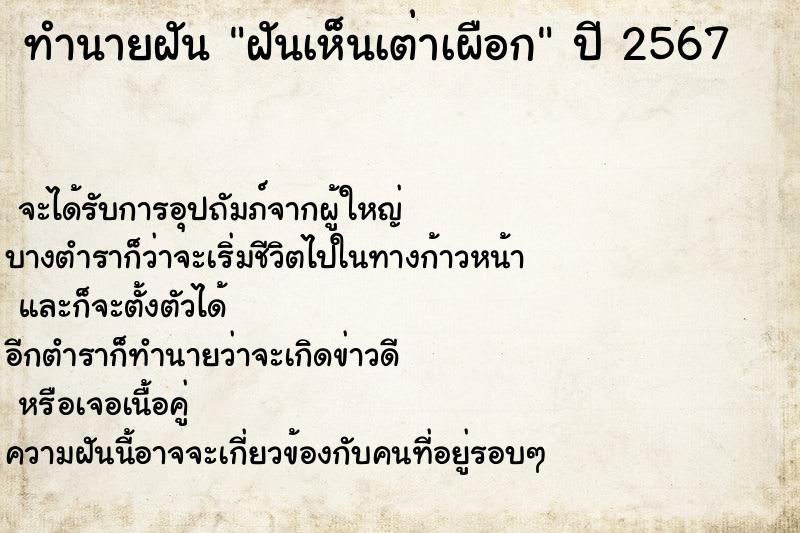 ทำนายฝัน ฝันเห็นเต่าเผือก