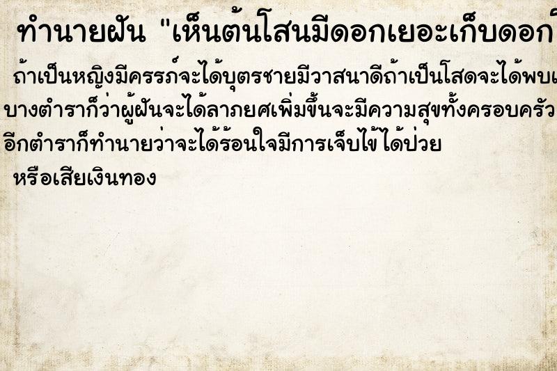 ทำนายฝันทำนายฝันเห็นต้นโสนมีดอกเยอะเก็บดอกโสน
