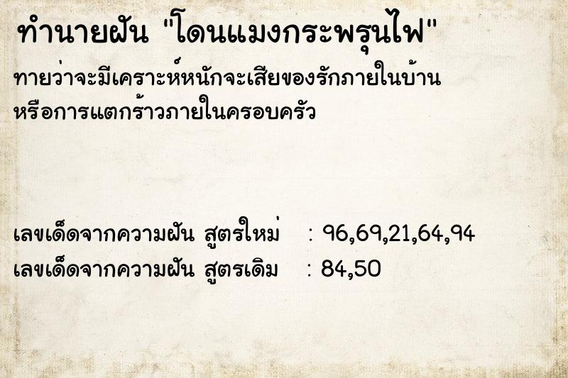 ทำนายฝัน โดนแมงกระพรุนไฟ ตำราโบราณ แม่นที่สุดในโลก