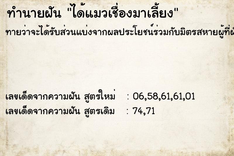 ทำนายฝันทำนายฝันได้แมวเชื่องมาเลี้ยง