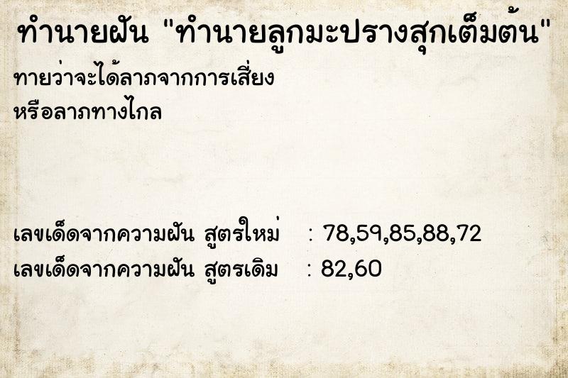 ทำนายฝันทำนายลูกมะปรางสุกเต็มต้น ทำนายฝันทำนายฝันทำนายลูกมะปรางสุกเต็มต้น