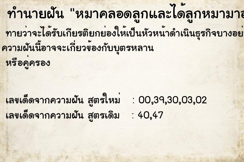 ทำนายฝันหมาคลอดลูกและได้ลูกหมามาอุ้ม1ตัว ทำนายฝันทำนายฝันหมาคลอดลูกและได้ลูกหมามาอุ้ม1ตัว
