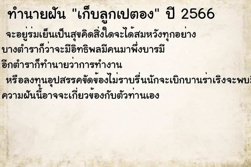 ทำนายฝันเก็บลูกเปตอง ทำนายฝันทำนายฝันเก็บลูกเปตอง