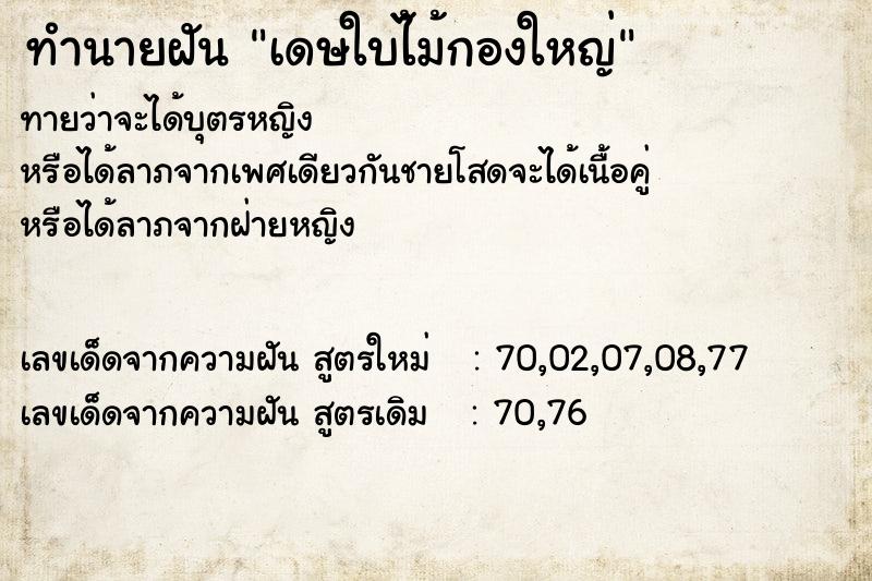 ทำนายฝันทำนายฝันเดษใบไ้ม้กองใหญ่