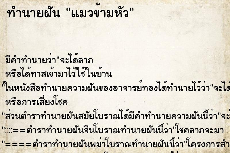 ทำนายฝัน แมวข้ามหัว ทำนายฝัน แมวข้ามหัว