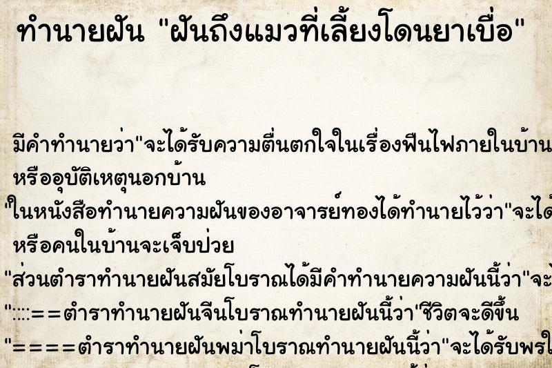 ทำนายฝัน ฝันถึงแมวที่เลี้ยงโดนยาเบื่อ ทำนายฝัน ฝันถึงแมวที่เลี้ยงโดนยาเบื่อ