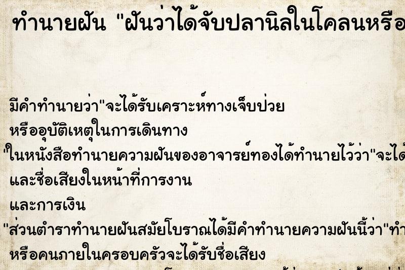ทำนายฝันฝันว่าได้จับปลานิลในโคลนหรือตม ทำนายฝันทำนายฝันฝันว่าได้จับปลานิลในโคลนหรือตม