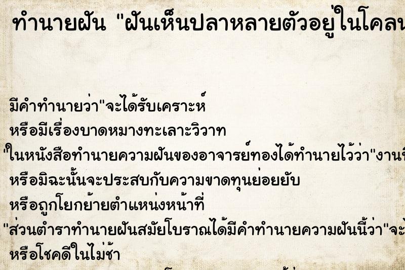 ทำนายฝัน ฝันเห็นปลาหลายตัวอยู่ในโคลน ทำนายฝัน ฝันเห็นปลาหลายตัวอยู่ในโคลน