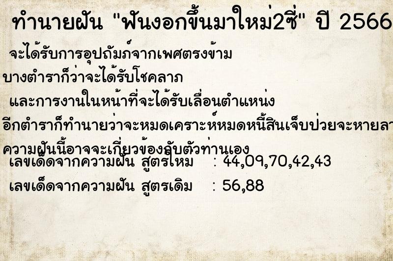 ทำนายฝัน ฟันงอกขึ้นมาใหม่2ซี่ แม่นๆ ฟรี ด้วยตำราหนังสือทำนายฝันโบราณ ทำนายฝันฟันงอกขึ้นมาใหม่2ซี่