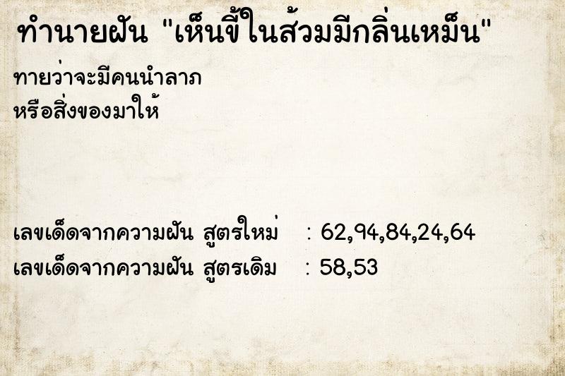 ทำนายฝันทำนายฝันเห็นขี้ในส้วมมีกลิ่นเหม็น