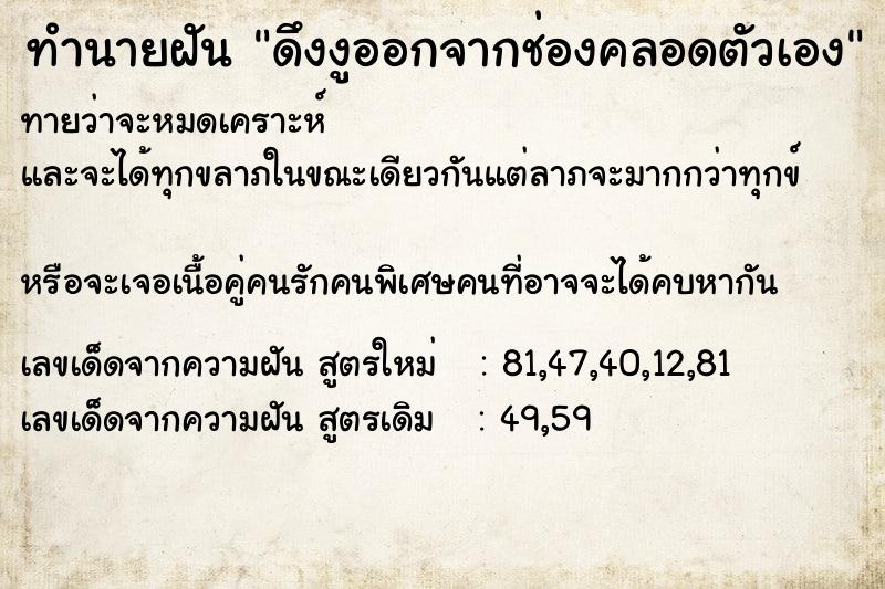 ทำนายฝันทำนายฝันดึงงูออกจากช่องคลอดตัวเอง