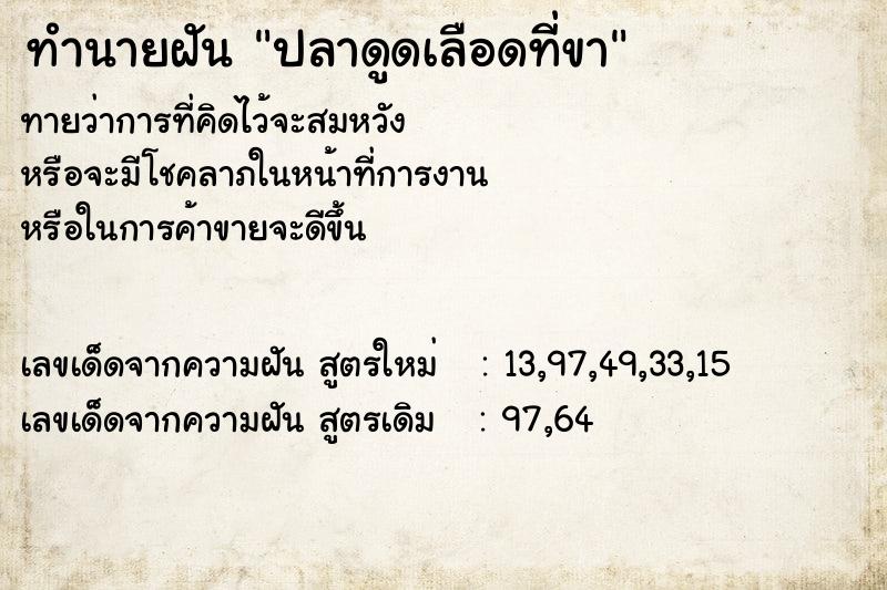 ทำนายฝันปลาดูดเลือดที่ขา ทำนายฝันทำนายฝันปลาดูดเลือดที่ขา