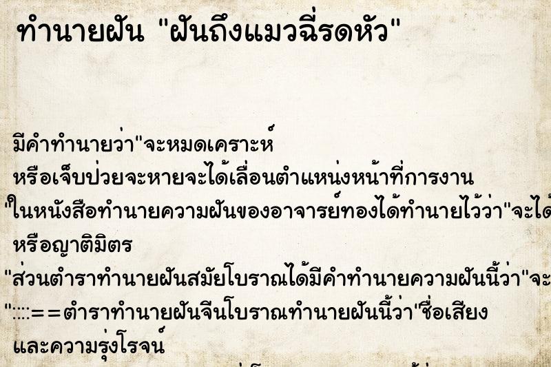 ทำนายฝันฝันถึงแมวฉี่รดหัว ทำนายฝันทำนายฝันฝันถึงแมวฉี่รดหัว