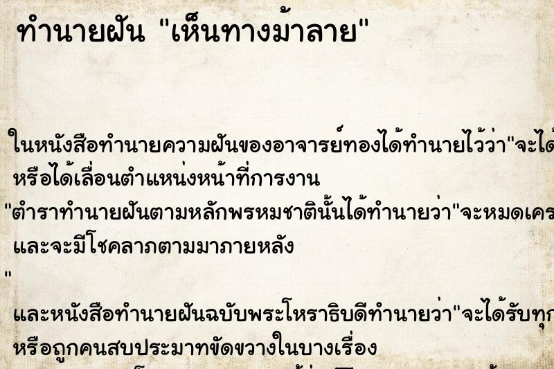 ทำนายฝันเห็นทางม้าลาย ทำนายฝันทำนายฝันเห็นทางม้าลาย