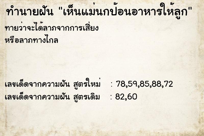 ทำนายฝันเห็นแม่นกป้อนอาหารให้ลูก ทำนายฝันทำนายฝันเห็นแม่นกป้อนอาหารให้ลูก