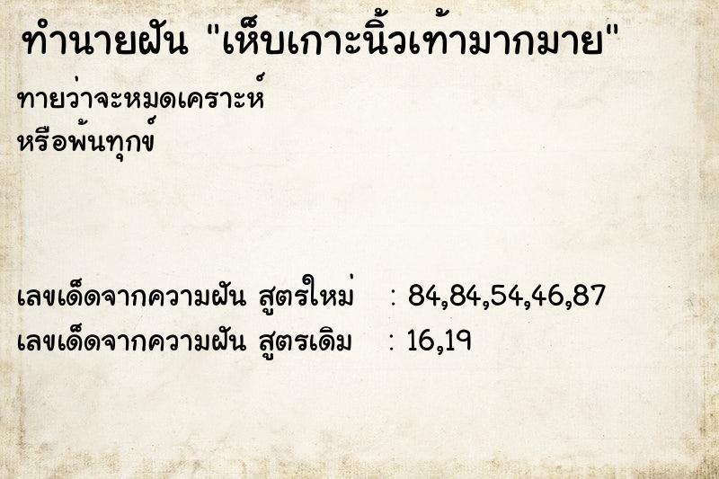 ทำนายฝันเห็บเกาะนิ้วเท้ามากมาย ทำนายฝันทำนายฝันเห็บเกาะนิ้วเท้ามากมาย