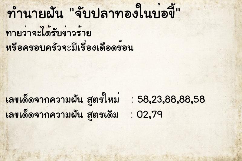 ทำนายฝันทำนายฝันจับปลาทองในบ่อขี้