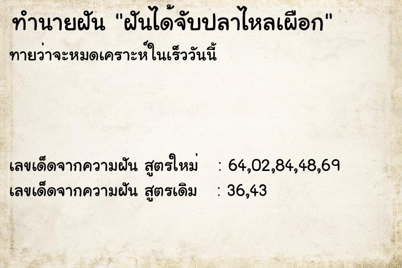 ทำนายฝันทำนายฝันฝันได้จับปลาไหลเผือก