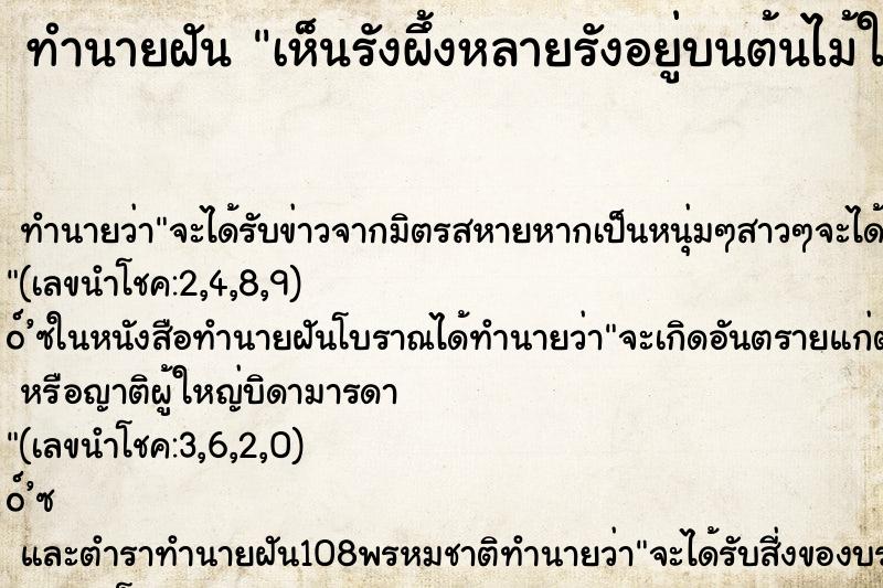 ทำนายฝัน เห็นรังผึ้งหลายรังอยู่บนต้นไม้ใหญ่ ทำนายฝัน เห็นรังผึ้งหลายรังอยู่บนต้นไม้ใหญ่