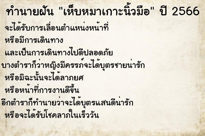 ทำนายฝันเห็บหมาเกาะนิ้วมือ ทำนายฝันทำนายฝันเห็บหมาเกาะนิ้วมือ