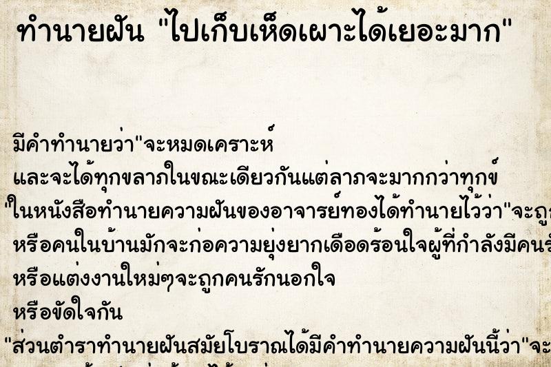 ทำนายฝัน ไปเก็บเห็ดเผาะได้เยอะมาก ทำนายฝัน ไปเก็บเห็ดเผาะได้เยอะมาก