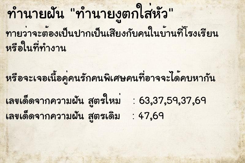 ทำนายฝันทำนายงูตกใส่หัว ทำนายฝันทำนายฝันทำนายงูตกใส่หัว