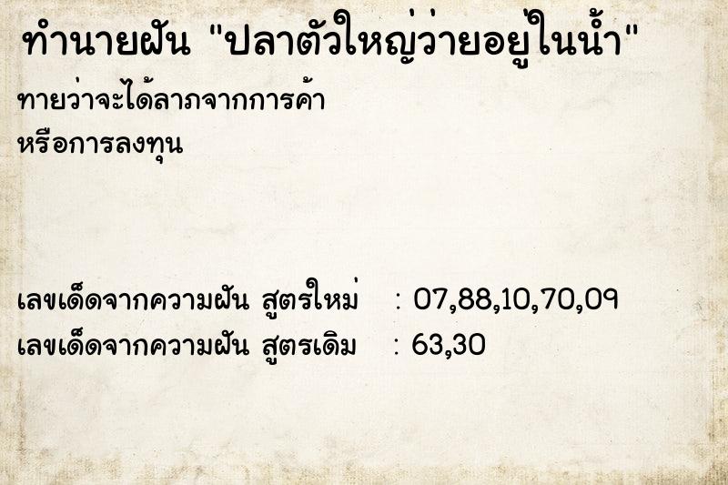 ทำนายฝันปลาตัวใหญ่ว่ายอยู่ในน้ำ ทำนายฝันทำนายฝันปลาตัวใหญ่ว่ายอยู่ในน้ำ