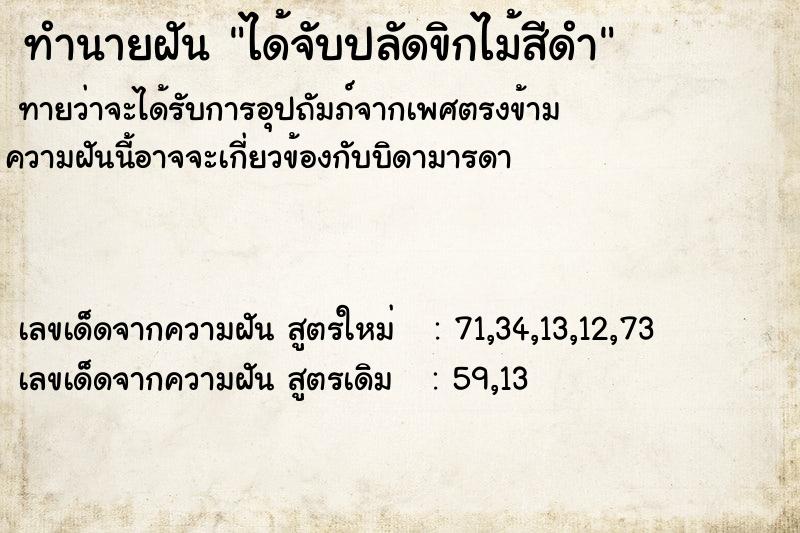 ทำนายฝันได้จับปลัดขิกไม้สีดำ ทำนายฝันทำนายฝันได้จับปลัดขิกไม้สีดำ