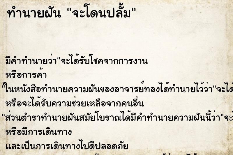 ทำนายฝันทำนายฝันจะโดนปลั้ม