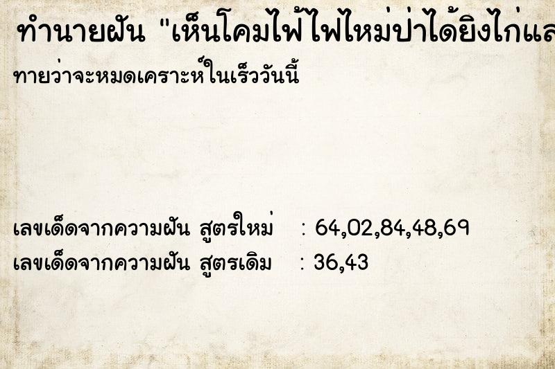 ทำนายฝันทำนายฝันเห็นโคมไฟ้ไฟไหม่ป่าได้ยิงไก่และอุ้มไก่
