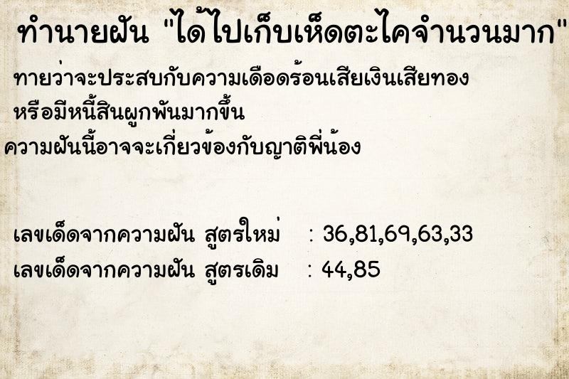 ทำนายฝันทำนายฝันได้ไปเก็บเห็ดตะไคจำนวนมาก