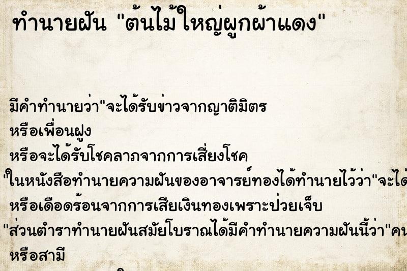 ทำนายฝัน ต้นไม้ใหญ่ผูกผ้าแดง ทำนายฝัน ต้นไม้ใหญ่ผูกผ้าแดง