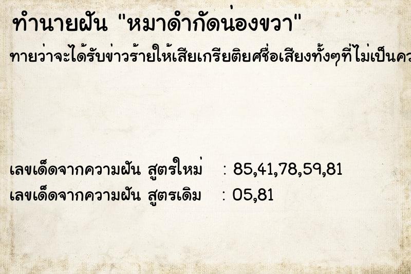 ทำนายฝันหมาดำกัดน่องขวา ทำนายฝันทำนายฝันหมาดำกัดน่องขวา
